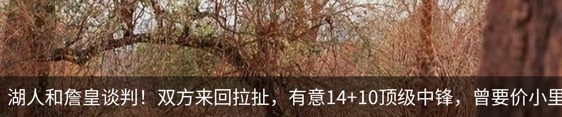 内页banner